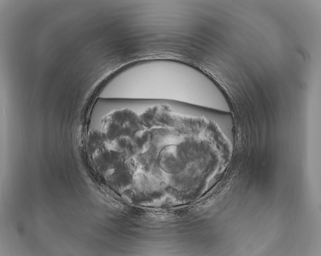X0000111200351200907011034