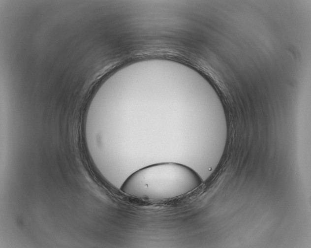 X0000111200356200907011034