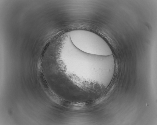 X0000111200359200907011035