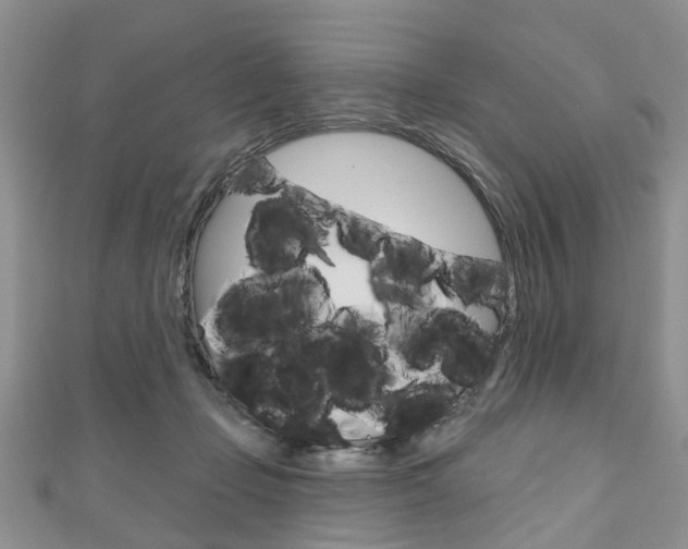 X0000111200365200907011035