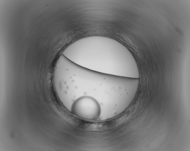 X0000111200366200907011035