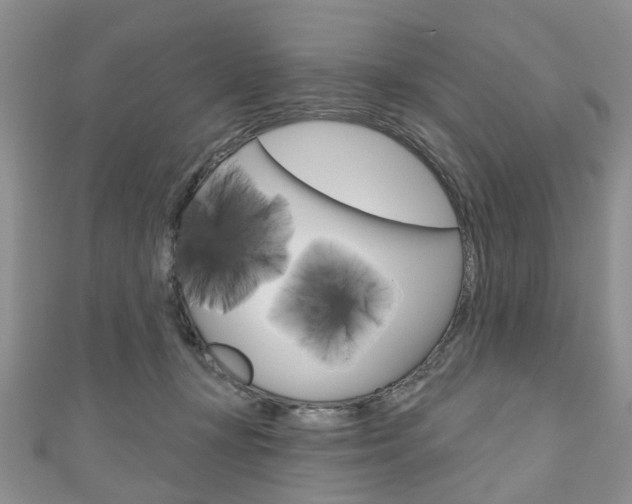 X0000111200367200907011035