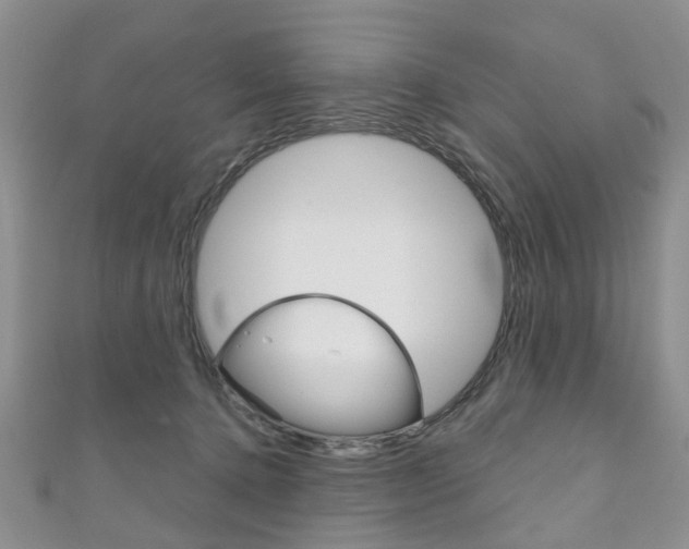 X0000111200368200907011035