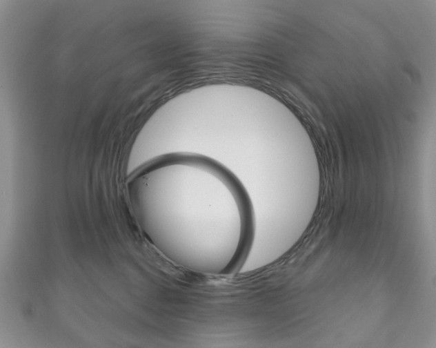 X0000111200376200907011035