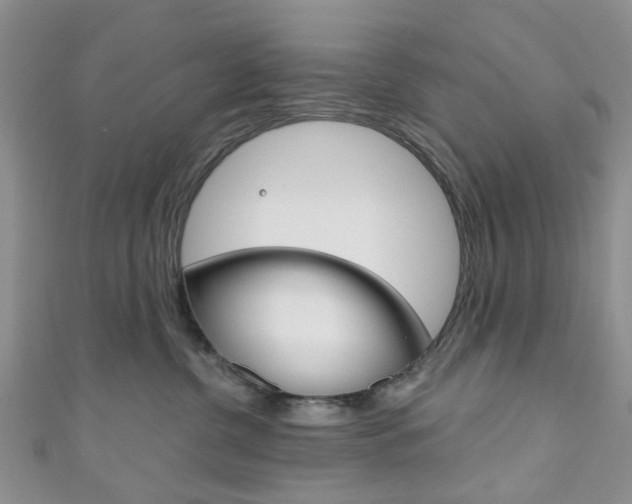 X0000111200380200907011035