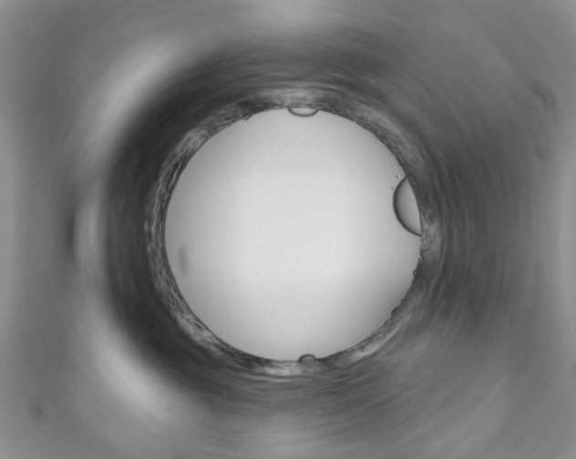 X0000111200381200907011035