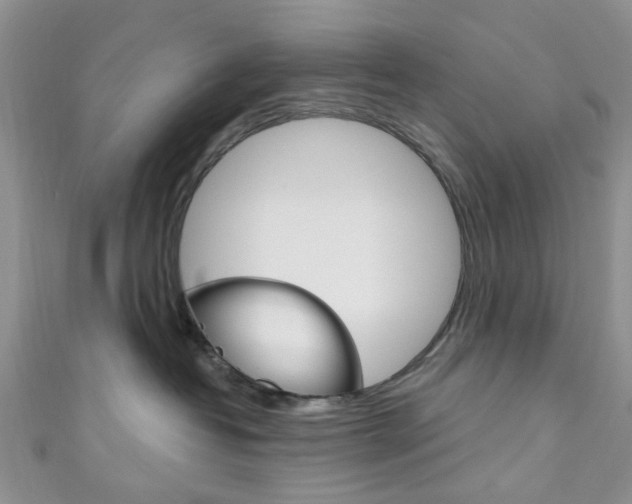 X0000111200382200907011035