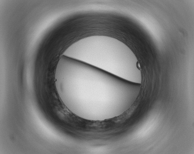 X0000111200383200907011035