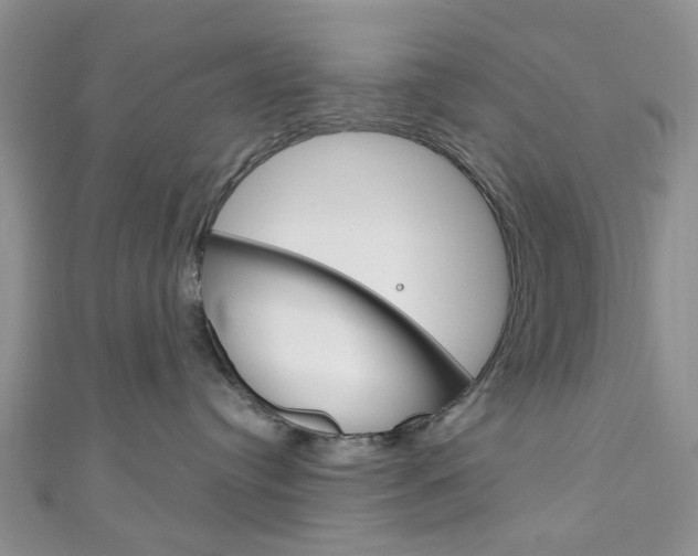 X0000111200384200907011035