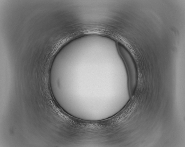 X0000111200385200907011034