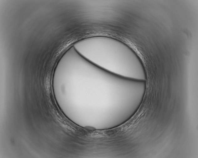 X0000111200386200907011034