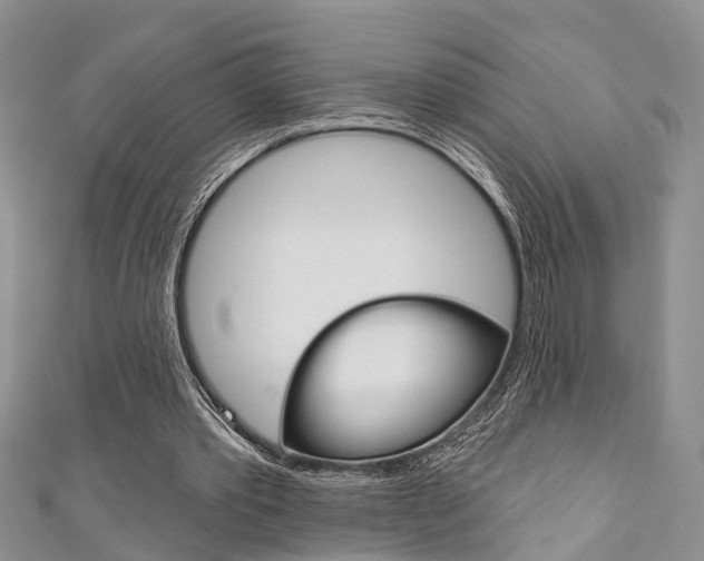 X0000111200389200907011034