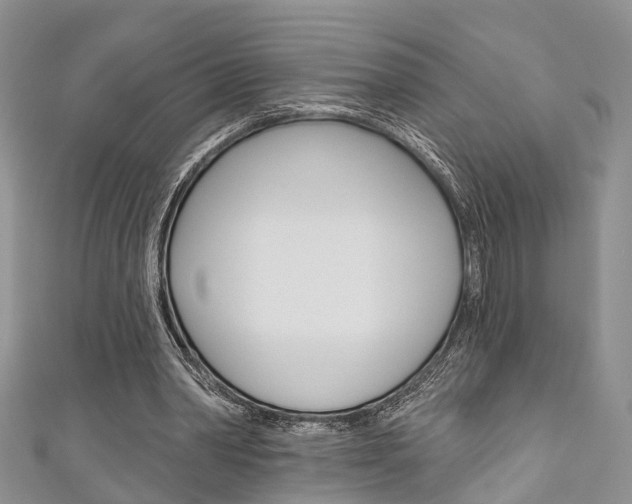 X0000111200390200907011034