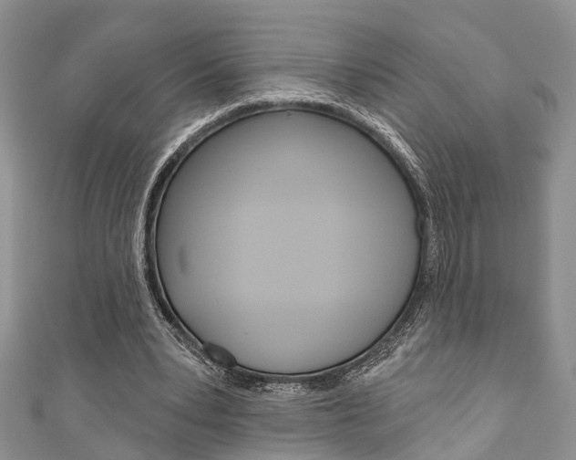X0000111200391200907011034