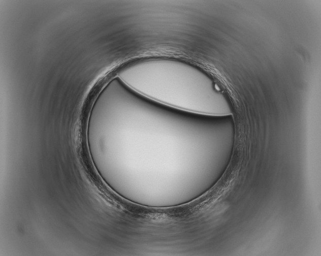 X0000111200392200907011034