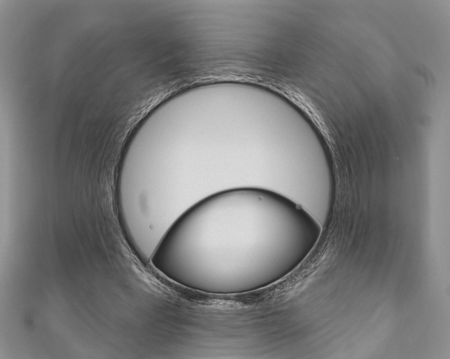 X0000111200393200907011034
