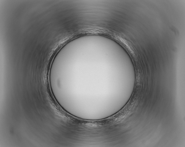 X0000111200394200907011034