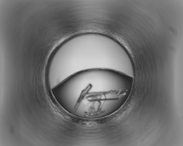 X0000111200395200907011034