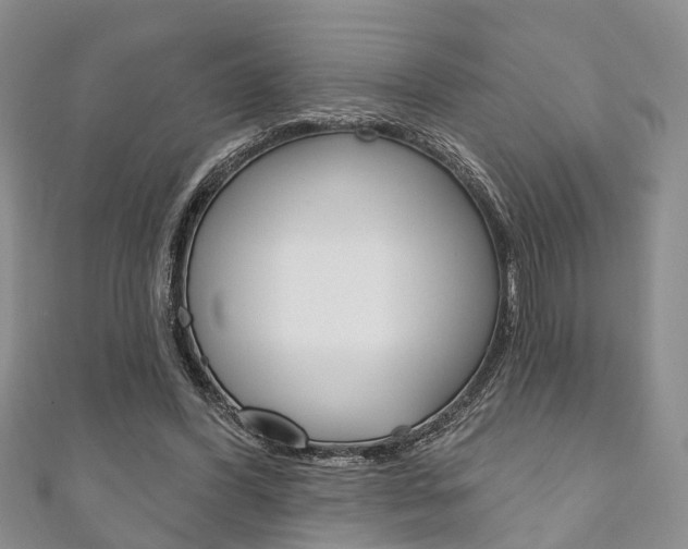 X0000111200396200907011034