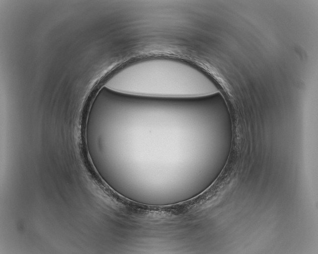 X0000111200399200907011034