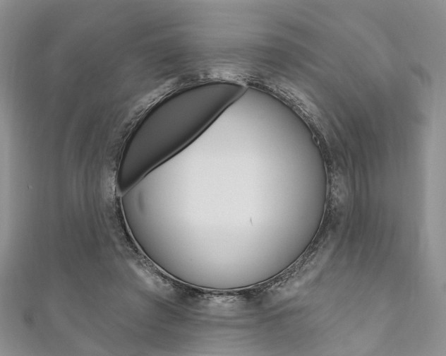 X0000111200401200907011034