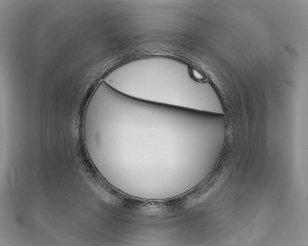 X0000111200402200907011034