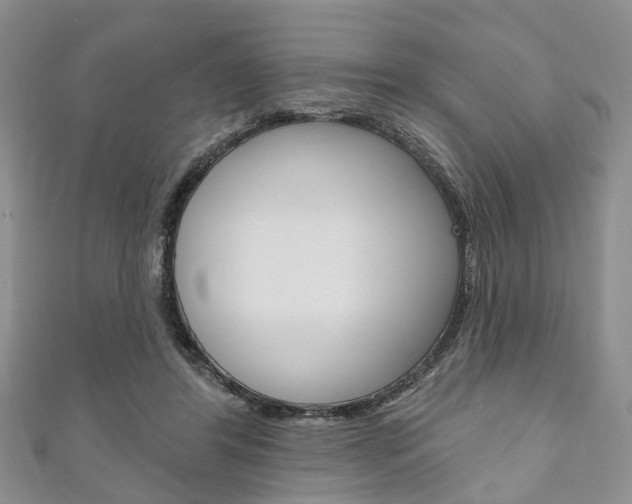 X0000111200404200907011034