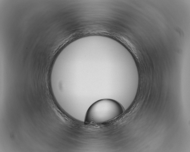 X0000111200405200907011034