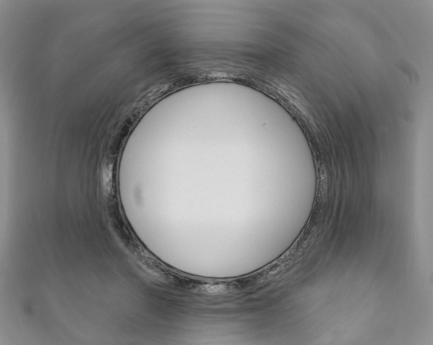X0000111200406200907011034