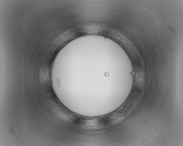X0000111200411200907011034