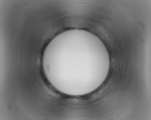 X0000111200412200907011034