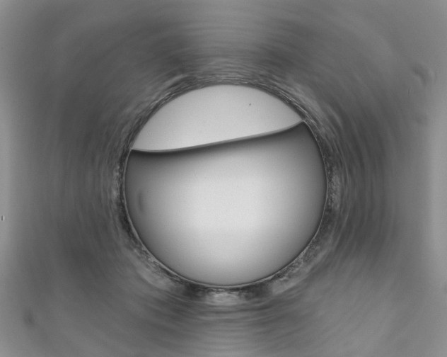 X0000111200413200907011034
