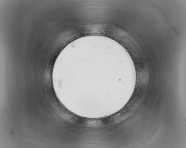X0000111200415200907011034
