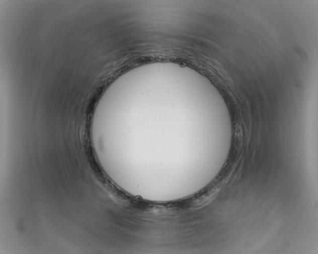 X0000111200416200907011034