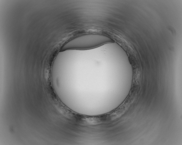 X0000111200417200907011034