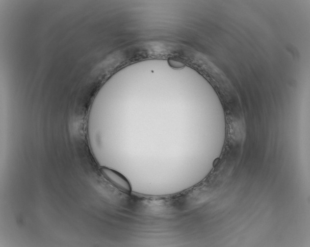 X0000111200419200907011034