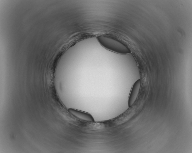 X0000111200421200907011034