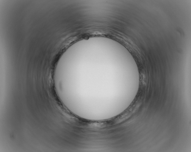 X0000111200422200907011034