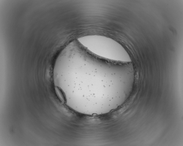 X0000111200424200907011034