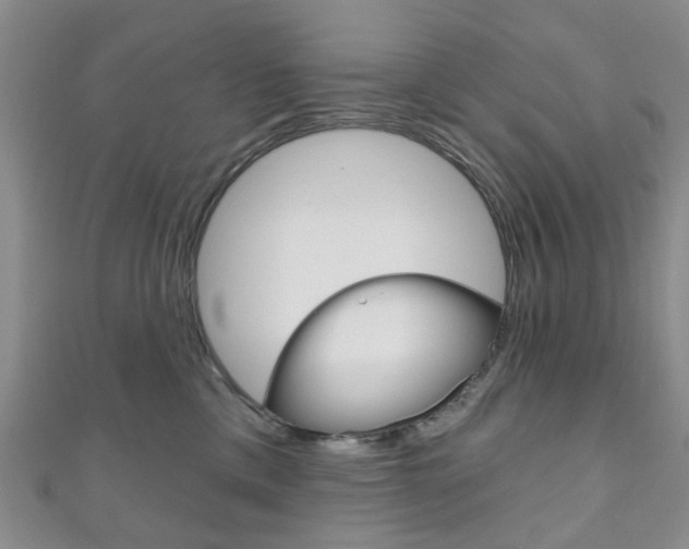 X0000111200425200907011034