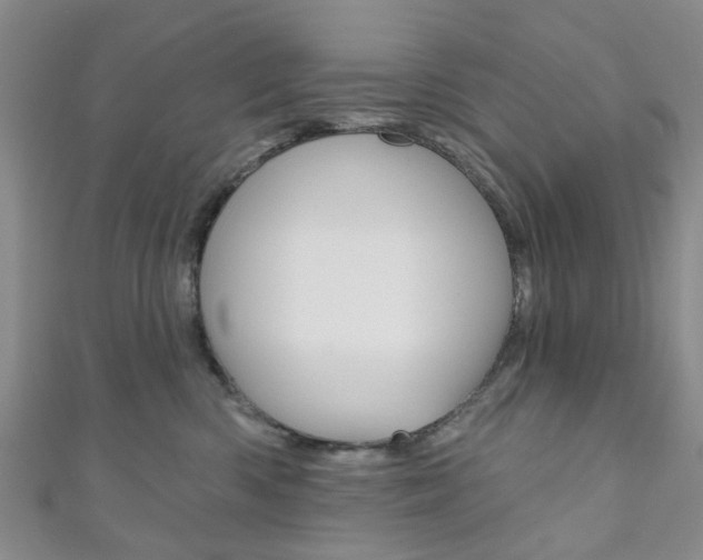 X0000111200426200907011034