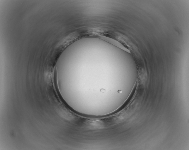X0000111200427200907011034