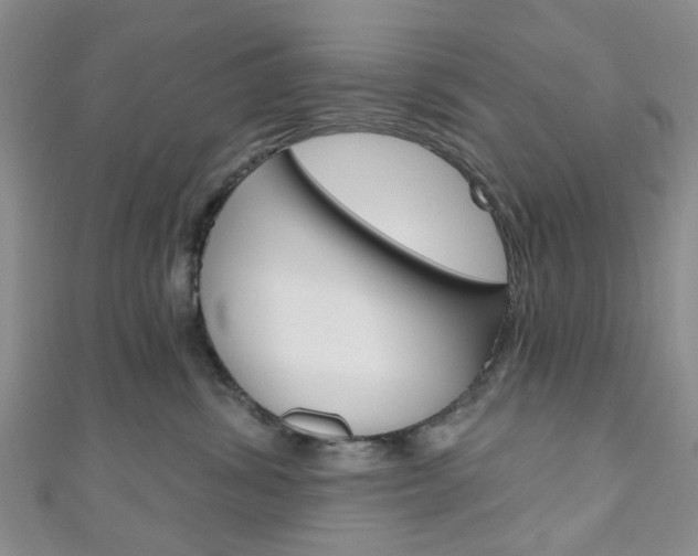 X0000111200428200907011034