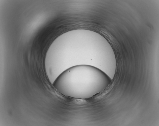 X0000111200429200907011034