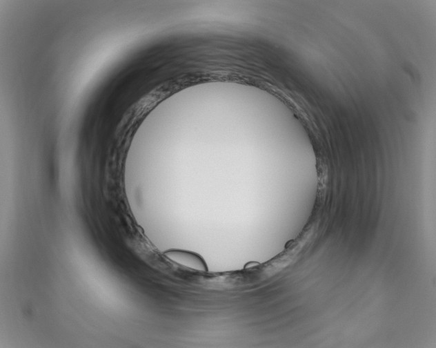 X0000111200430200907011034