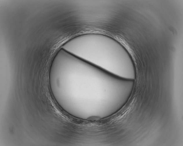 X0000111200433200907011033