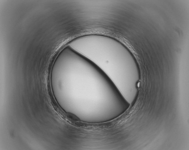 X0000111200434200907011033