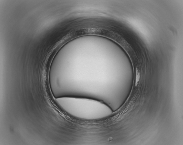 X0000111200435200907011033