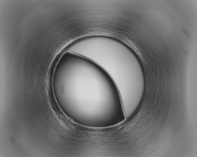 X0000111200436200907011033