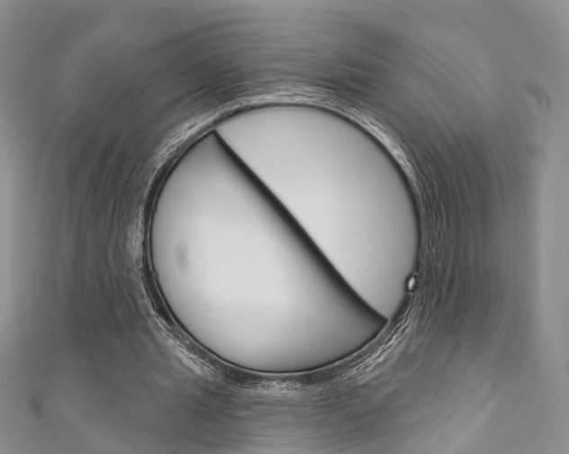 X0000111200437200907011033